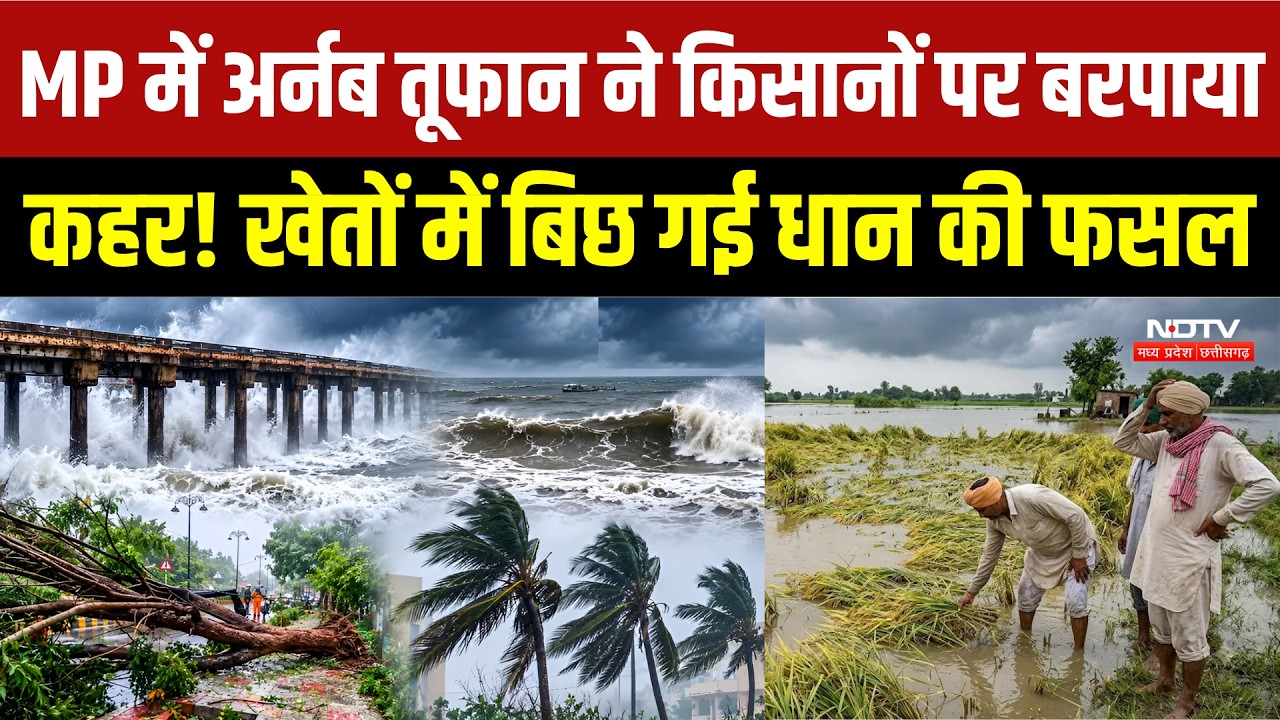 MP Rain Alert: Cyclone Arnab की मार से MP के Farmers परेशान, फसलें बर्बाद! । Breaking Weather News