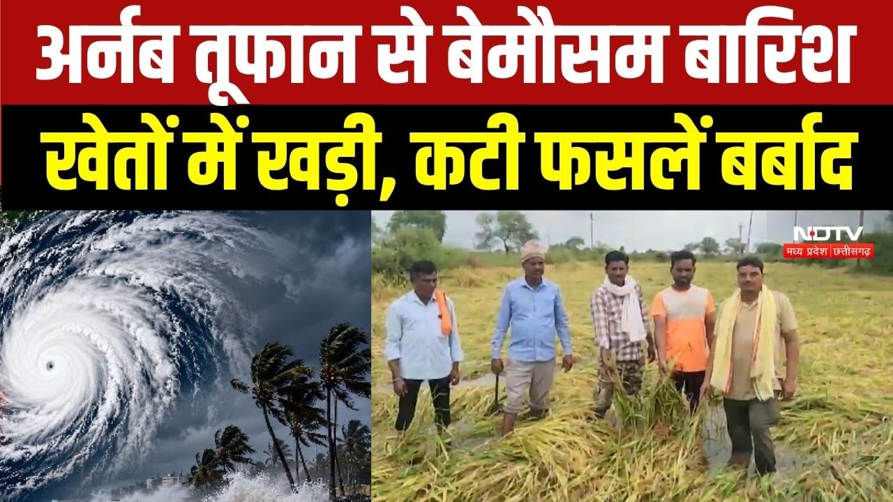 Cyclone Arnab से आई बेमौसम बारिश ने खेतों में खड़ी फसलें कीं बर्बाद, किसान परेशान । Top News
