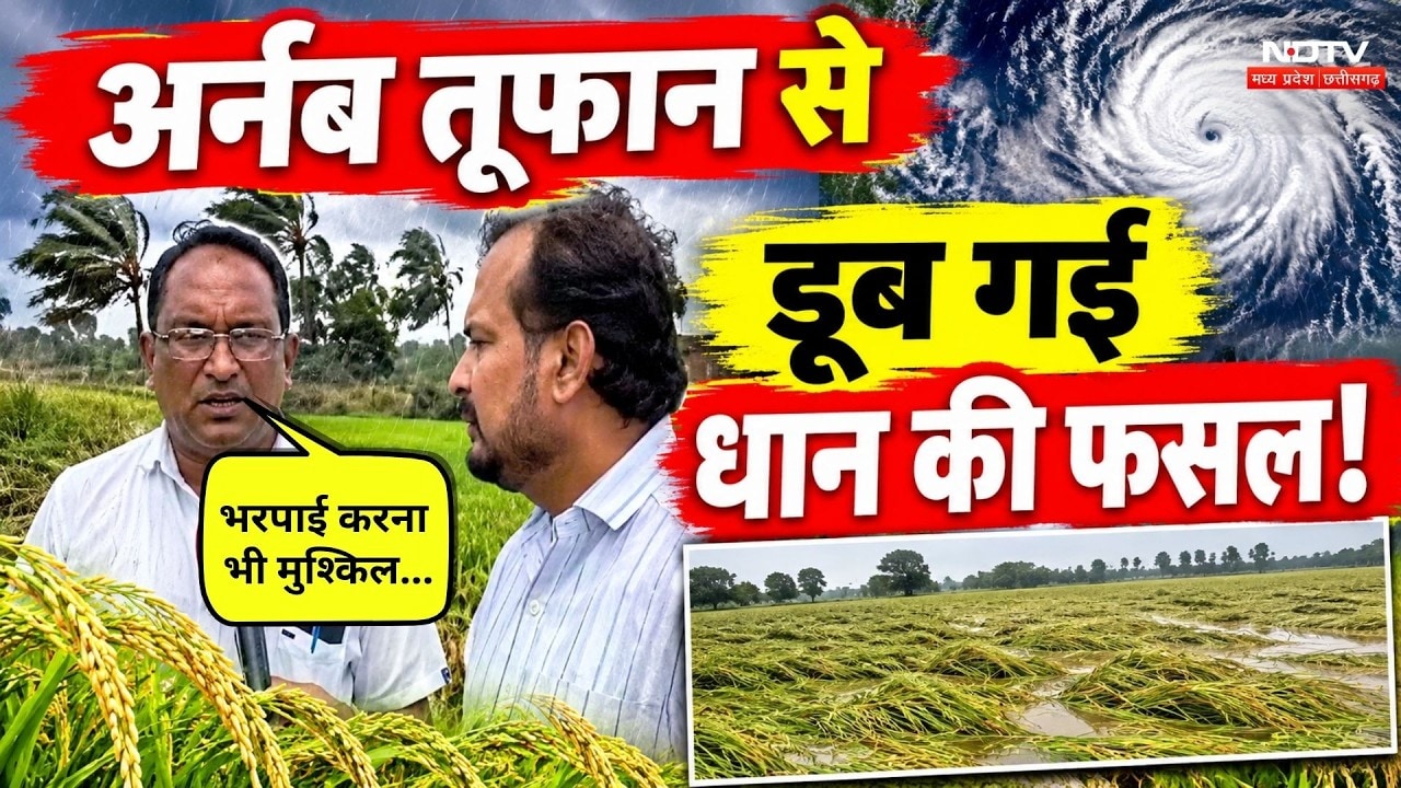 Cyclone Arnab से धान की फसल खराब, किसानों का छलका दर्द! Heavy Rain | Weather Update | CG News