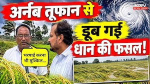 Cyclone Arnab से धान की फसल खराब, किसानों का छलका दर्द! Heavy Rain | Weather Update | CG News
