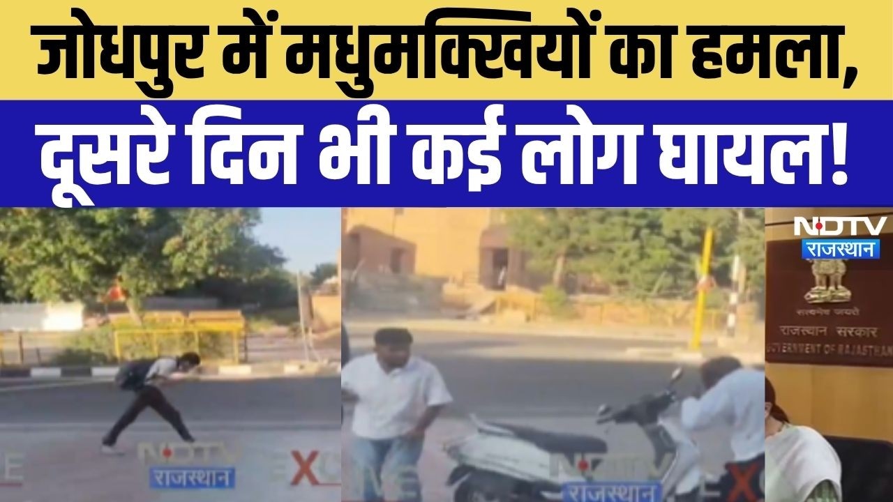 Jodhpur Bee Attack Video: एक की मौत के बाद भी नहीं जागा प्रशासन, फिर हमला कर गईं मधुमक्खियां!