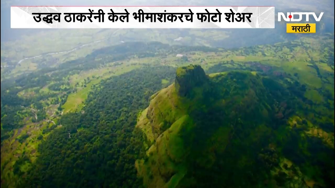 Bhimashankar Tree Cutting Controversy | कर्जत भीमाशंकरमध्ये काढलेले फोटो उद्धव ठाकरेंकडून शेअर