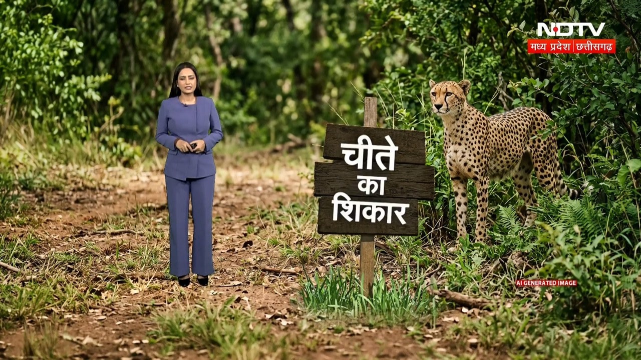 MP News : Kuno National Park में Cheetah का शिकार, 6 वनकर्मी सस्पेंड और 2 आरोपी गिरफ्तार । Breaking