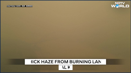Wildfires Turn Indonesian Skies Orange As Haze Chokes Kalimantan, Sumatra