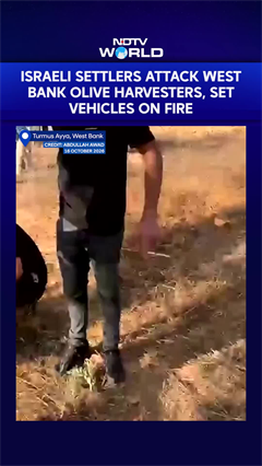 Israel Gaza War | Israeli Settlers Attack West Bank Olive Harvesters, Set Vehicles On Fire