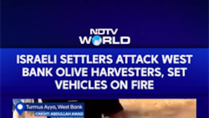 Israel Gaza War | Israeli Settlers Attack West Bank Olive Harvesters, Set Vehicles On Fire