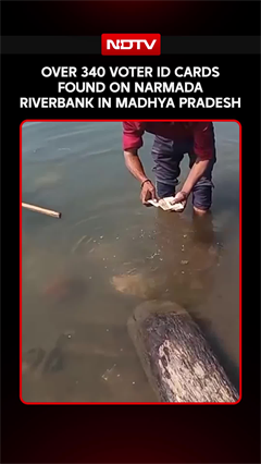 Over 340 Voter ID Cards Found On Narmada Riverbank In Madhya Pradesh