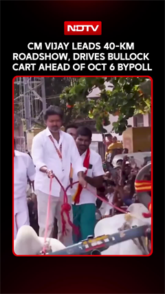 CM Vijay Drives Bullock Cart In His Roadshow Ahead Of ByPolls