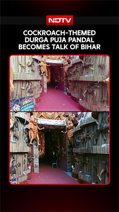 Bihar's Giant Cockroach-Themed Pandal Goes Viral! The Unusual Pandal Theme Everyone Is Talking About