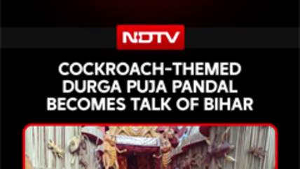 Bihar's Giant Cockroach-Themed Pandal Goes Viral! The Unusual Pandal Theme Everyone Is Talking About