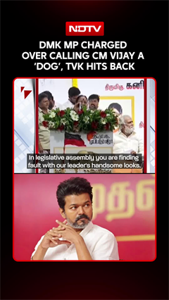 DMK MP Charged Over Calling CM Vijay A 'Dog', TVK Hits Back