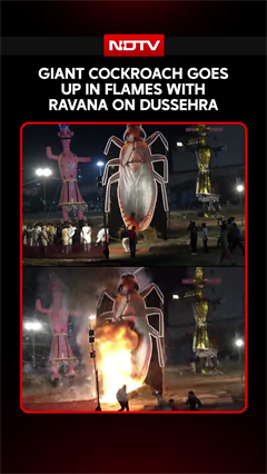Delhi's Famous Cockroach Effigy Meets Fiery End In Spectacular Ceremony