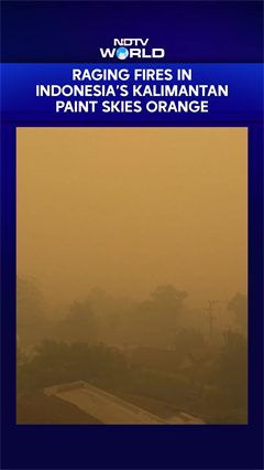 Indonesia Forest Fire | Raging Fires In Indonesia's Kalimantan Paint Skies Orange