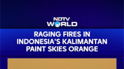Indonesia Forest Fire | Raging Fires In Indonesia's Kalimantan Paint Skies Orange