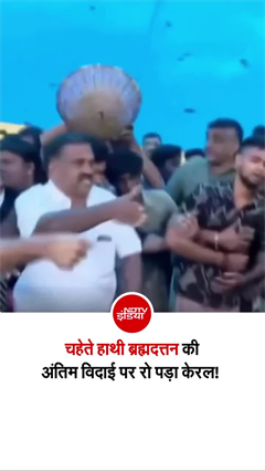 केरल के चहेते हाथी ब्रह्मदत्तन की बिजली गिरने से मौत, नम आंखों से लोगों ने दी विदाई