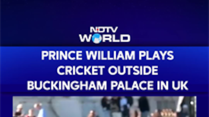 Prince William Plays Cricket Outside Buckingham Palace In UK