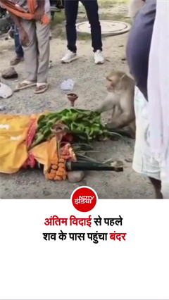गाजीपुर में अंतिम संस्कार के दौरान भावुक कर देने वाला नजारा, अर्थी के पास पहुंचा बंदर
