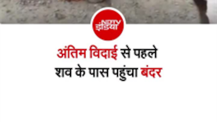 गाजीपुर में अंतिम संस्कार के दौरान भावुक कर देने वाला नजारा, अर्थी के पास पहुंचा बंदर