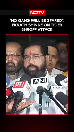 Eknath Shinde Reacts To Tiger Shroff Firing, Says Strict Action Will Be Taken