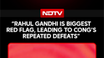 "Rahul Gandhi Is The Biggest Red Flag, Leading Congress To Repeated Defeats": Piyush Goyal
