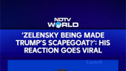 Ukrainian President Zelenskyy Smiles At Question On Whether Trump Is Making Him A Scapegoat