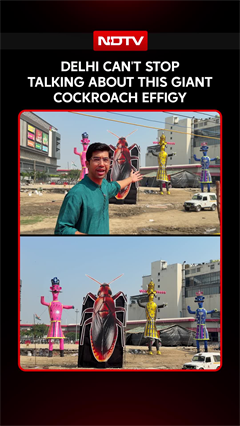 Why Is A Giant Cockroach At A Delhi Ramlila Ground In Pitampura? | Vijaydashmi 2026