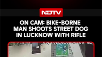 On Cam: Bike-Borne Man Shoots Street Dog In Lucknow With Rifle