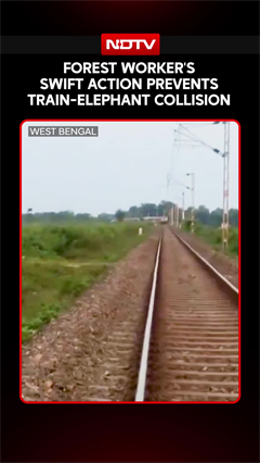 Elephant Herd Escapes Danger On Bagdogra-Naxalbari Track After Forest Worker's Swift Intervention