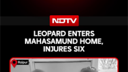 Leopard Enters Mahasamund Home, Injures Six