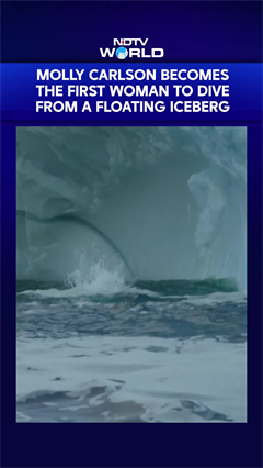 Molly Carlson Becomes The First Woman To Dive From A Floating Iceberg
