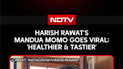 Harish Rawat's Mandua Momo Goes Viral: 'Tastier And Healthier Than Regular Momos'