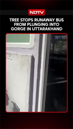 Tree Stops Runaway Bus From Plunging Into Gorge In Uttarakhand