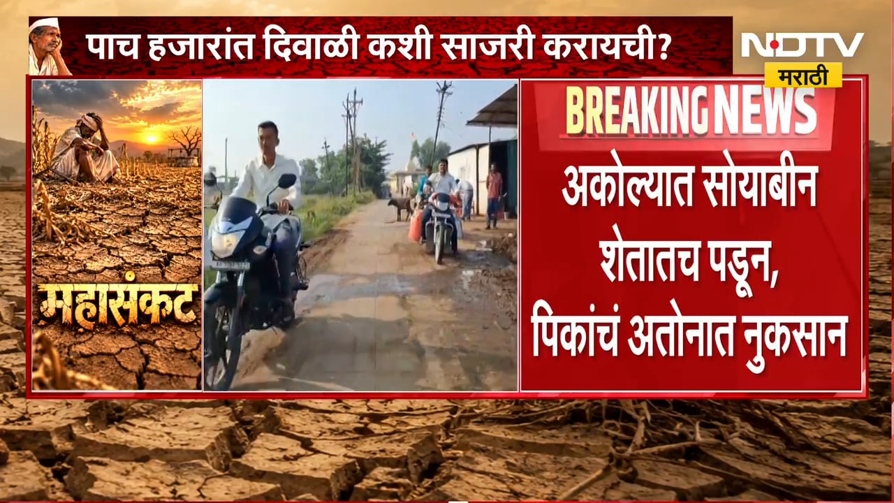 Akola Drought | सोयाबीन शेतातच पडून, दुष्काळी मदतीवर शेतकऱ्यांचा संताप | NDTV Marathi