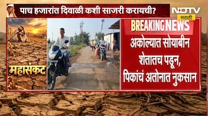 Akola Drought | सोयाबीन शेतातच पडून, दुष्काळी मदतीवर शेतकऱ्यांचा संताप | NDTV Marathi