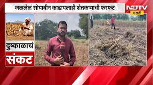 Beed मध्ये जळून गेलेलं सोयाबीन काढायला एकरी 5 हजारांची मागणी । NDTV Maratrhi