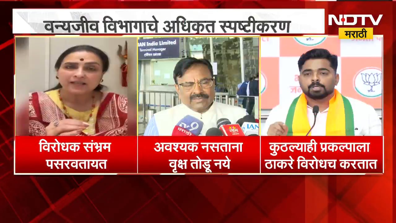 Bhimashankar Tree Cutting News | भिमाशंकर वृक्षतोडीचा आरोप फेटाळला, राजकीय प्रतिक्रिया काय?