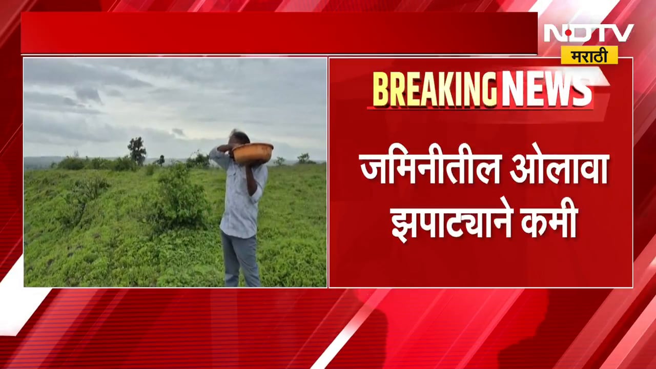 Buldhana Drought | मान्सूनचा दगा दिल्यानं खरिपाचं अनेक गेलं, आता 8 वर्षानंतर रब्बीवर दुष्काळाचं सावट