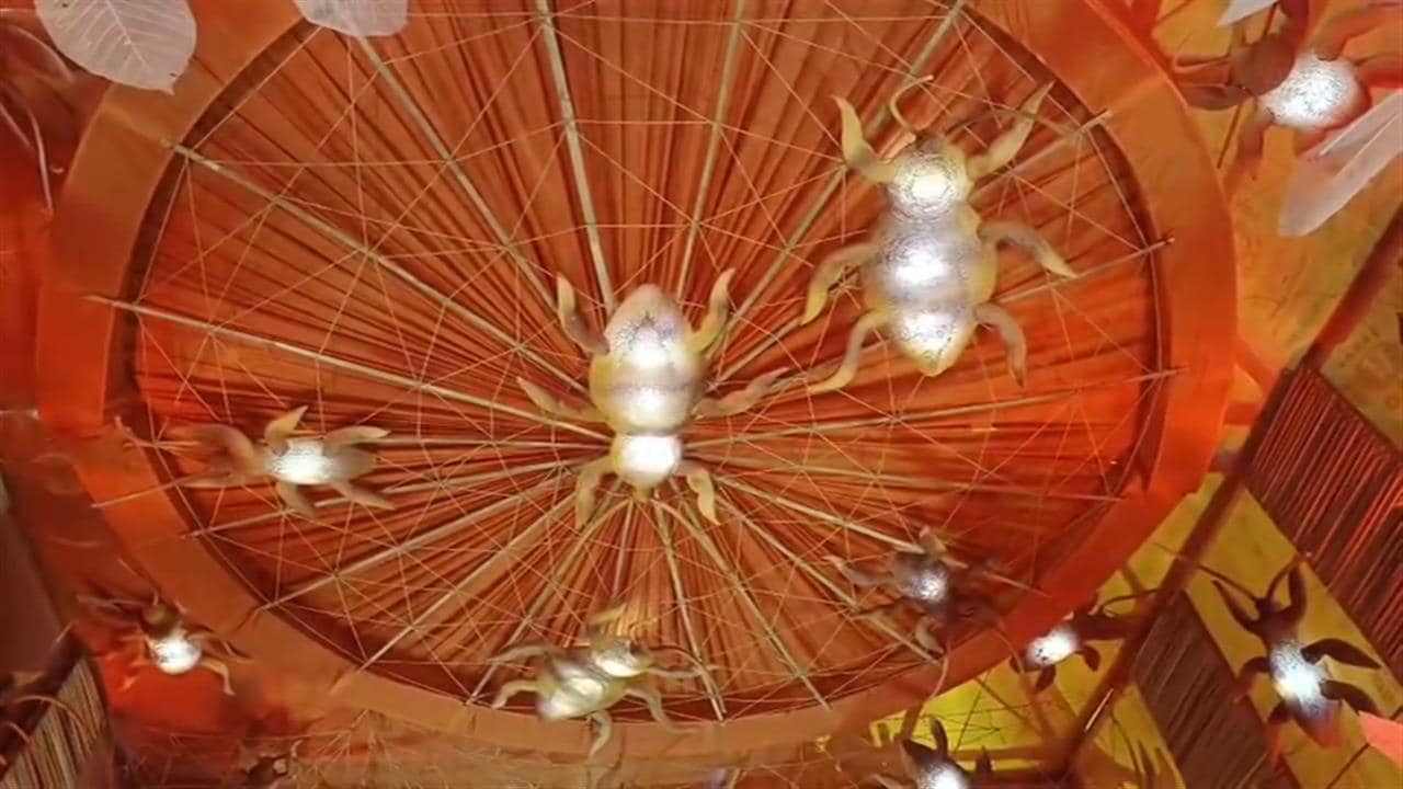 बिहार में बना कॉकरोच से सजा दुर्गा माता का अनोखा पंडाल