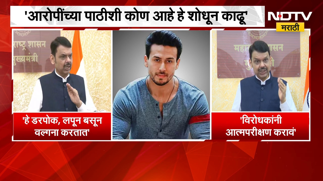 Devendra Fadnavis | टायगर श्रॉफ हल्ला प्रकरणी मुख्यमंत्री देवेंद्र फडणवीस यांची प्रतिक्रिया समोर