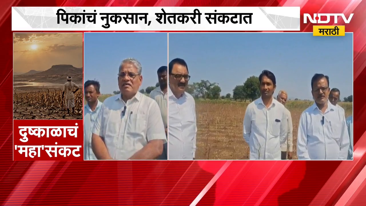 दुष्काळाचं महासंकट, शिरपूरमध्ये खरीप पिकांना फटका, आमदार Kashiram Pawara यांच्याकडून पाहणी