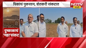 दुष्काळाचं महासंकट, शिरपूरमध्ये खरीप पिकांना फटका, आमदार Kashiram Pawara यांच्याकडून पाहणी