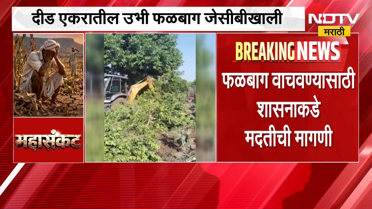 शेतकऱ्याने उभी फळबाग JCBने केली जमीनदोस्त, संभाजीनगरमधील दुष्काळाची भीषणता दाखवणारं हृदयद्रावक चित्र