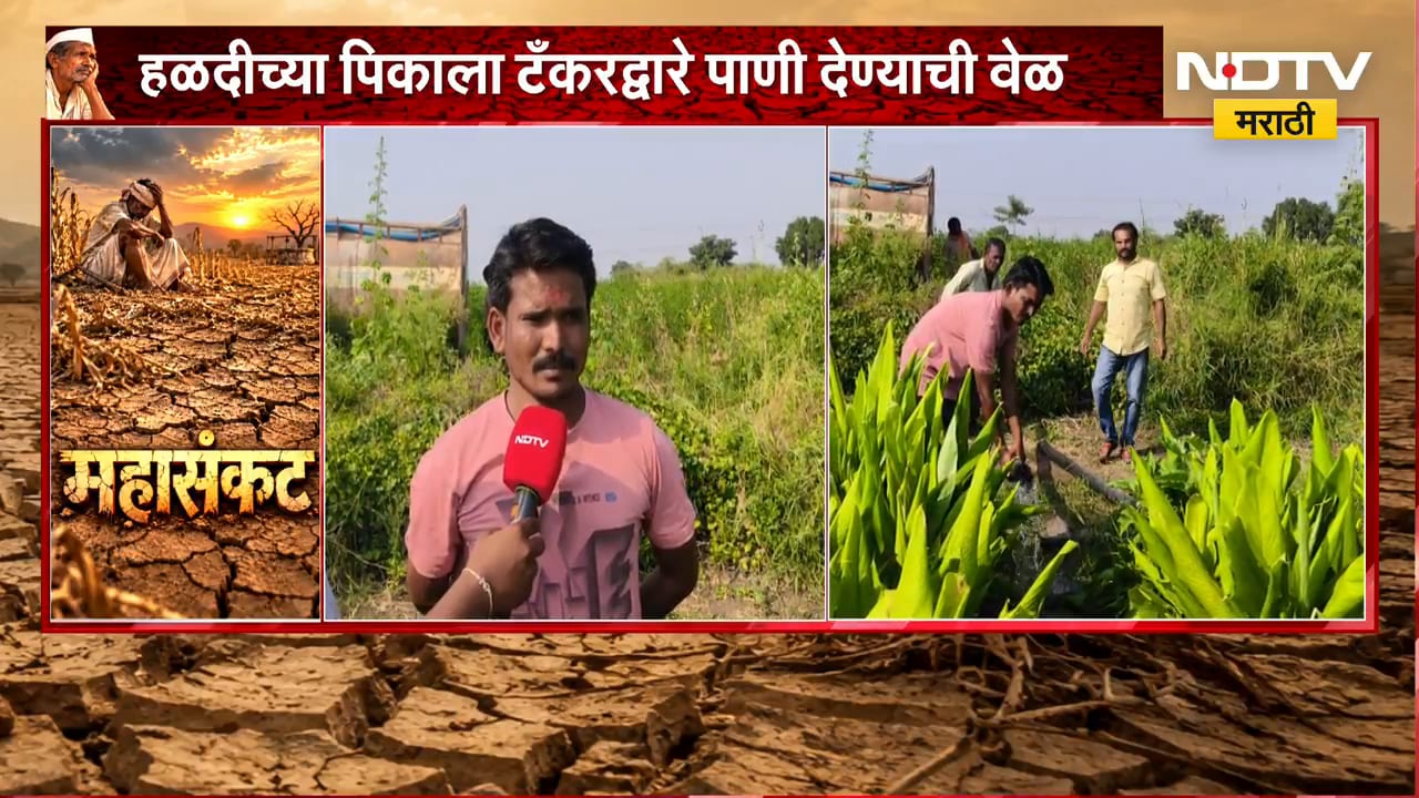 Hingoli जिल्ह्यात दुष्काळाचा हळदीला फटका, हळदीच्या पिकाला टँकरद्वारे पाणी देण्याची वेळ |NDTV Marathi
