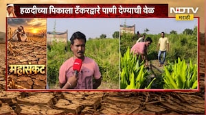 Hingoli जिल्ह्यात दुष्काळाचा हळदीला फटका, हळदीच्या पिकाला टँकरद्वारे पाणी देण्याची वेळ |NDTV Marathi