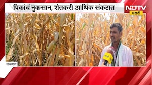 Jalgaon | पिकांचं नुकसान, शेतकरी आर्थिक संकटात; कर्जवसुलीसाठी बँकांचे फोन येत असल्याचा आरोप