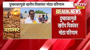 Jalgaon Drought | जळगावमध्ये मका, सोयाबीन उत्पादनात घट; दुष्काळाचा शेतकऱ्यांना फटका | NDTV Marathi