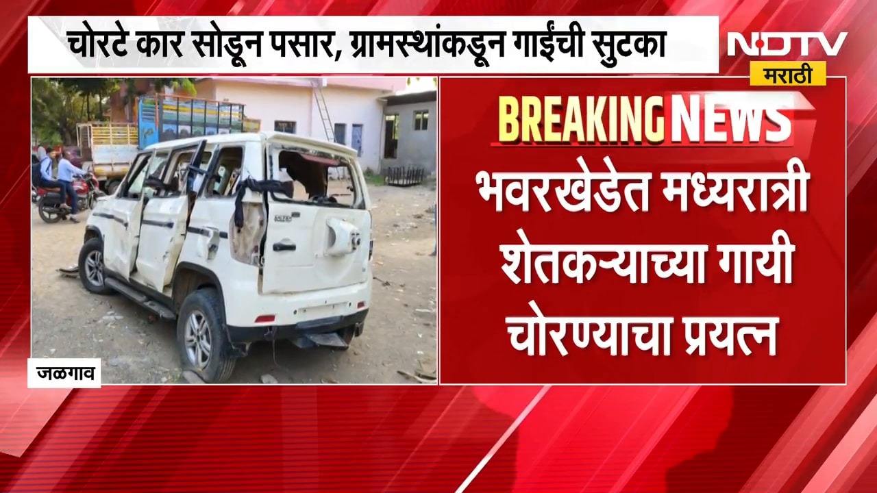Jalgaon | शेतकऱ्याच्या गायी चोरण्याचा प्रयत्न, चोरटे पसार; ग्रामस्थांकडून गाईंची सुटका | NDTV