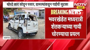 Jalgaon | शेतकऱ्याच्या गायी चोरण्याचा प्रयत्न, चोरटे पसार; ग्रामस्थांकडून गाईंची सुटका | NDTV