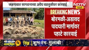 Jalgaon | जळगावात सागवानाच्या अवैध वाहतुकीवर कारवाई, लाखोंचा मुद्देमाल जप्त | NDTV Marathi