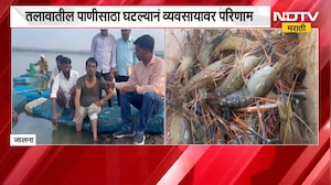Jalna | कल्याण गिरिजा प्रकल्पातील पाणीसाठा वेगानं कमी, पाणीसाठा घटल्यानं 200 मच्छिमार कुटुंब संकटात